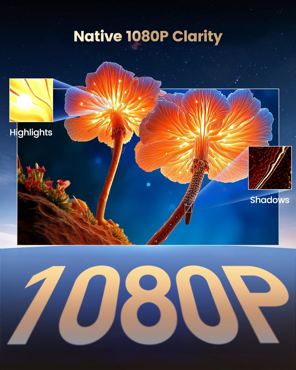 P61 pro